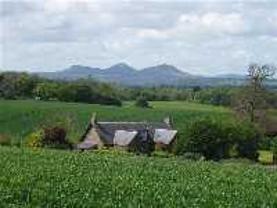 Roxburgh Newtown Farm